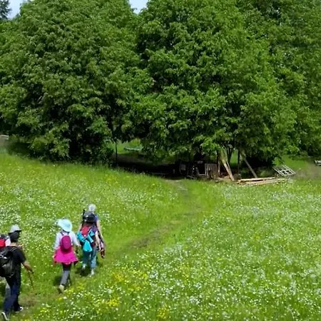 Gaestehaus Am Sternberg Gomadingen