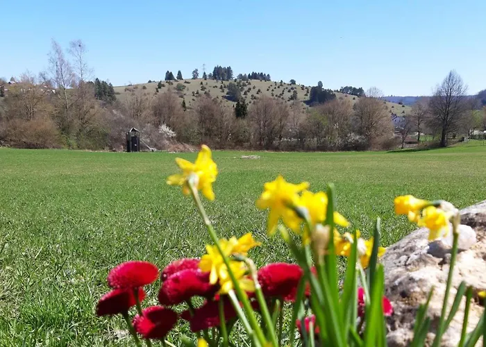 Gaestehaus Am Sternberg Mini-hôtel Gomadingen